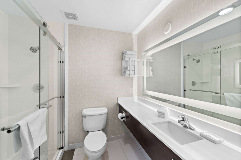 Bathroom 4, Hampton Inn by Hilton Calexico, Imperial