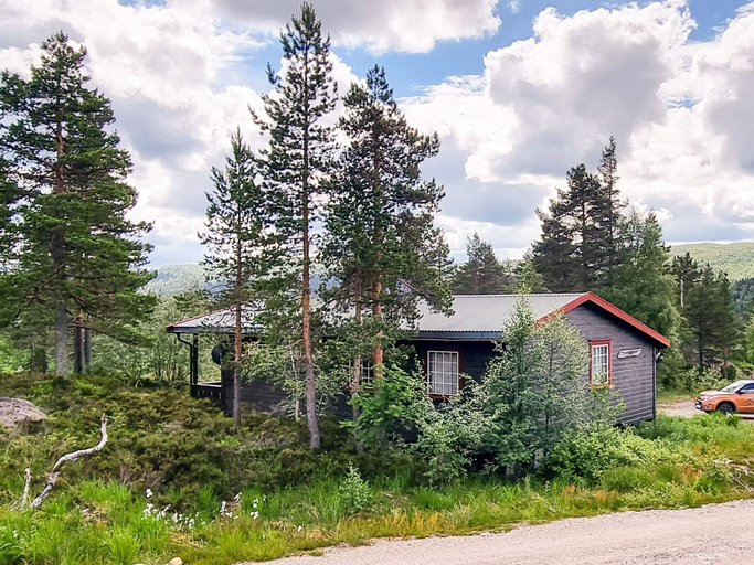 Exterior & Views 2, 6 Person Holiday Home in Aseral, Åseral