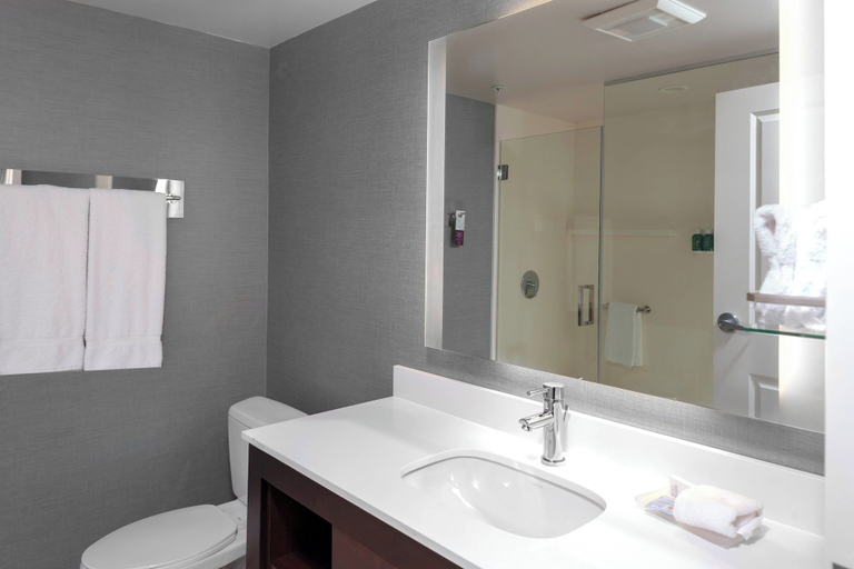 Bathroom 4, Residence Inn by Marriott Atlanta McDonough, Henry