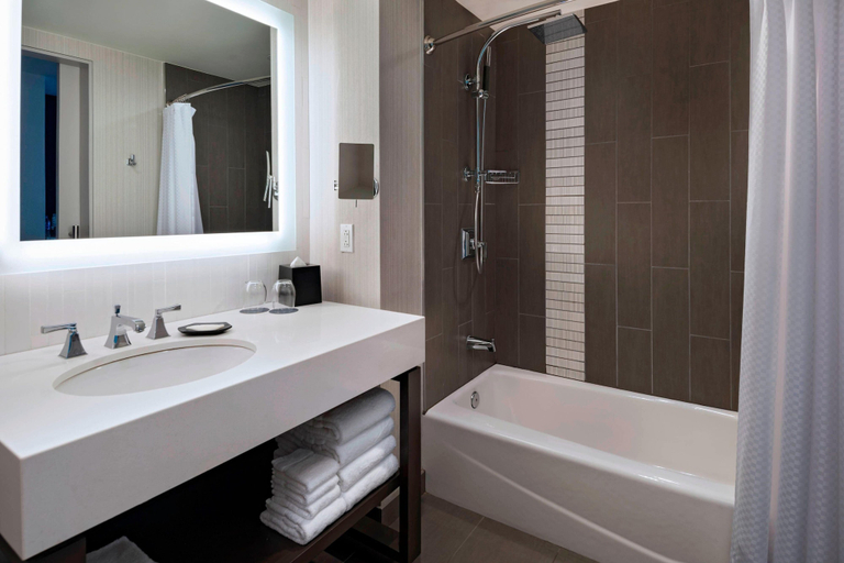 Bathroom 5, The Westin Austin Downtown, Travis