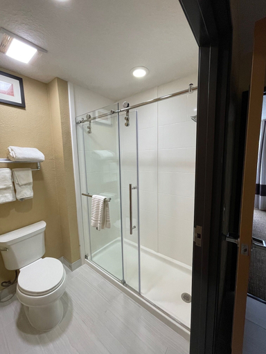 Bathroom 4, Comfort Suites San Antonio SeaWorld - Lackland AFB, Bexar