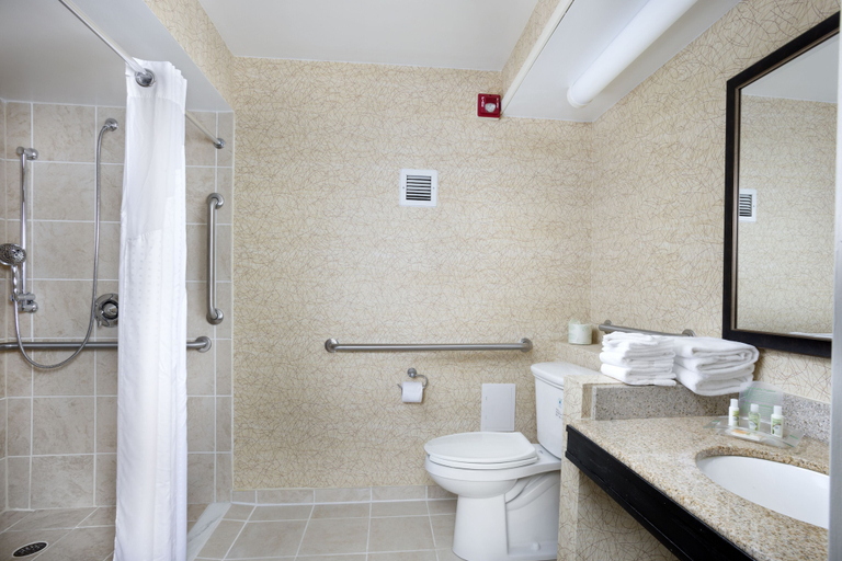 Bathroom 4, Holiday Inn Johnson City by IHG, Washington