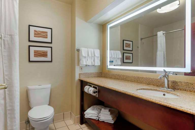 Bathroom 4, Comfort Inn & Suites Jackson North, Jackson
