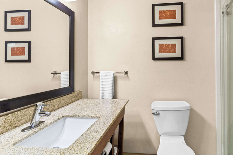 Bathroom 4, Comfort Suites Vincennes, Knox