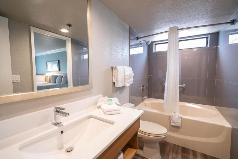 Bathroom 4, Alexis Park Resort, Clark