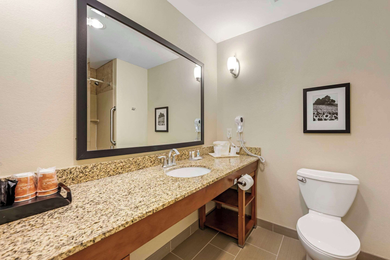 Bathroom 4, Comfort Suites East Lincoln - Mall Area, Lancaster