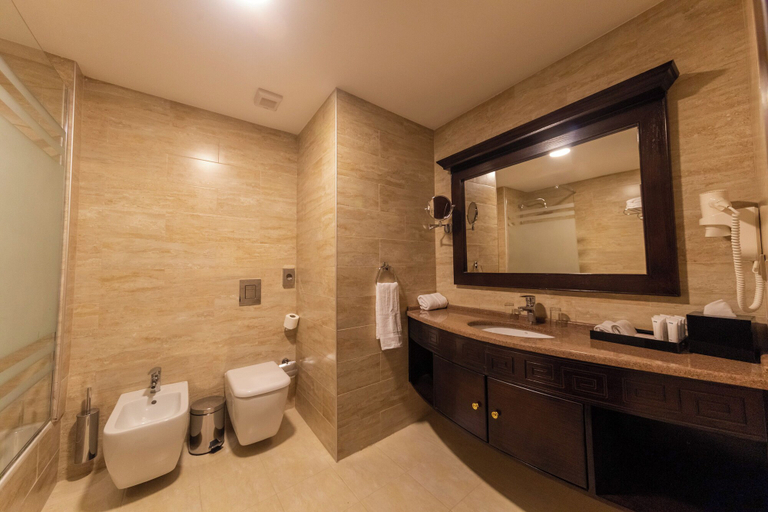 Bathroom 5, Petra Canyon Hotel, Wadi Musa