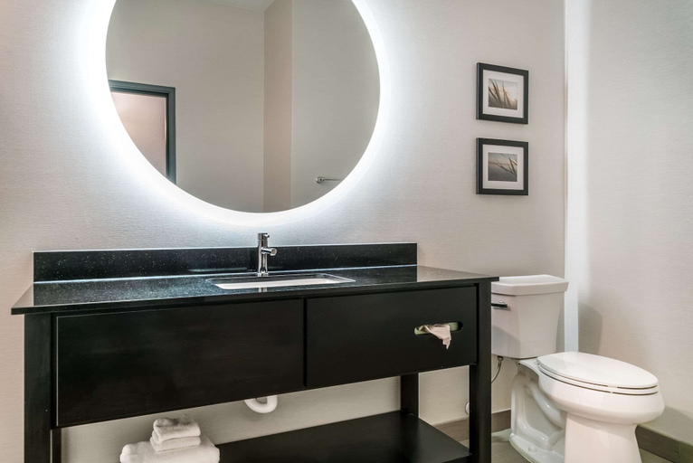 Bathroom 4, Comfort Inn & Suites Adrian, Lenawee