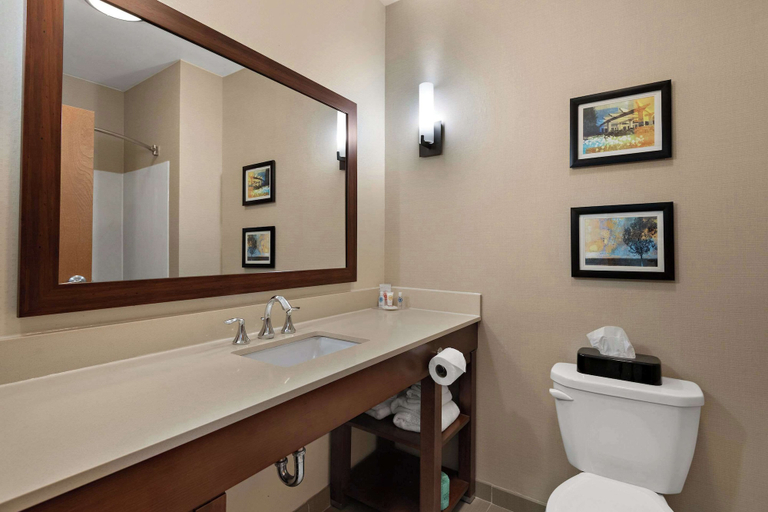Bathroom 5, Comfort Suites Hummelstown - Hershey, Dauphin