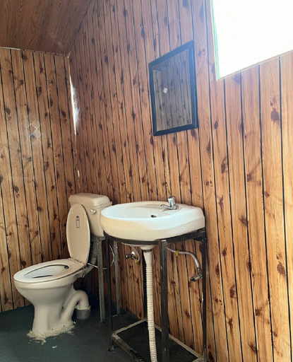 Bathroom, Padma Cottage Pangong, Leh