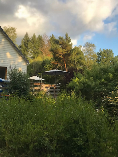 Garden 2, Peaceful Countryside Home, Corrèze