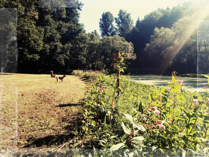 Others 5, Sabine's Wellnesslodge, Südwestpfalz