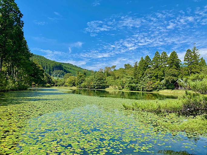 Others 5, 池の山荘, Hoshino