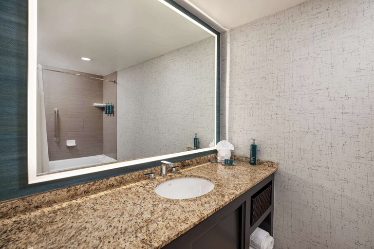 Bathroom 5, DoubleTree Suites by Hilton Austin Downtown Capitol, Travis