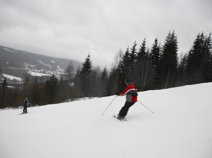 Others 4, Ski, Sauna, and Scandinavian Serenity Chalet, Torsby
