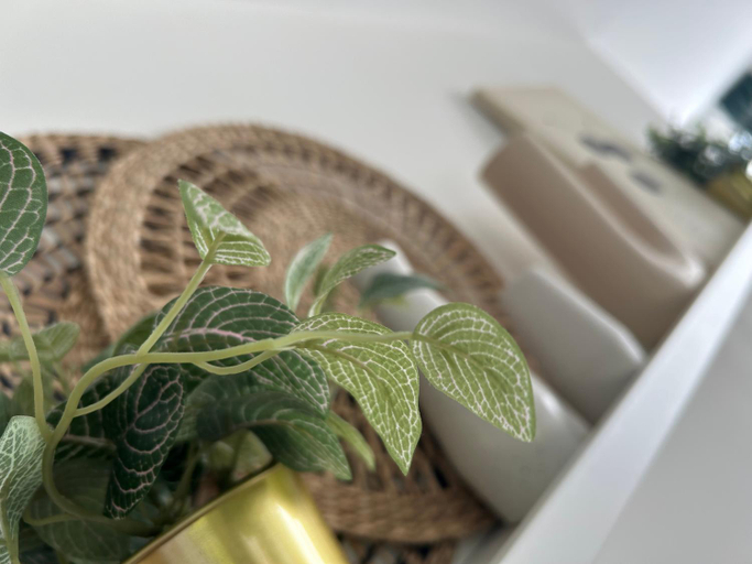 Food & Drinks 4, B&B Zunderdorp, Amsterdam