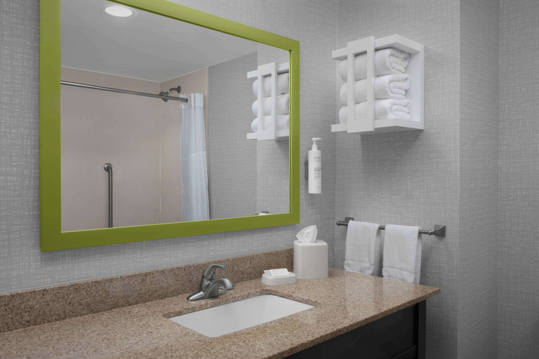 Bathroom 4, Hampton Inn Statesboro, Bulloch