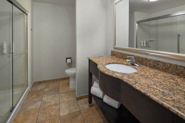 Bathroom 4, Hampton Inn Rochester Irondequoit, Monroe