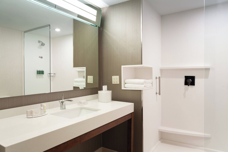 Bathroom 5, Courtyard by Marriott Winter Haven, Polk