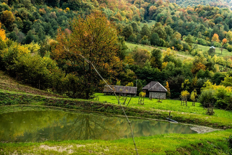 Others 3, Cabanele din Valea Ursului, Barsana