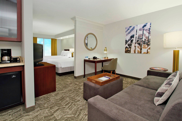 SpringHill Suites by Marriott Chesapeake Greenbrier, Chesapeake