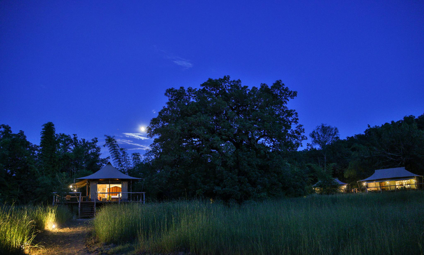 Exterior & Views, The Untamed Wilderness Camp, Bandhavgarh by TUTC, Umaria