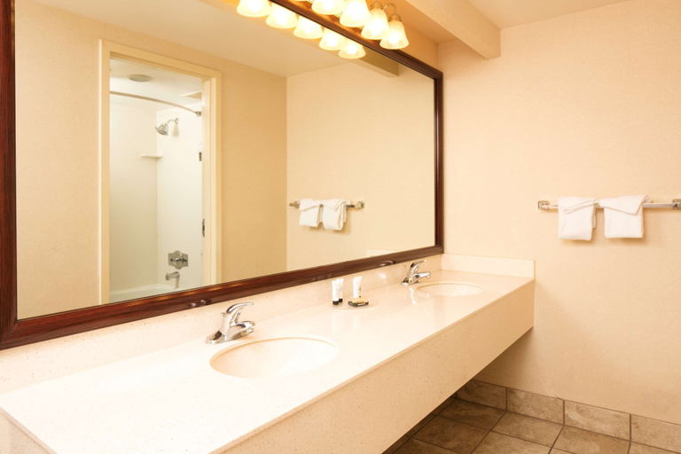 Bathroom 4, Red Lion Hotel & Conference Center St. George, UT, Washington