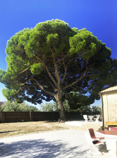 Others 4, Le Tre Lune B&B, Foggia