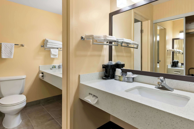 Bathroom 4, Best Western Of Olds, Division No. 6