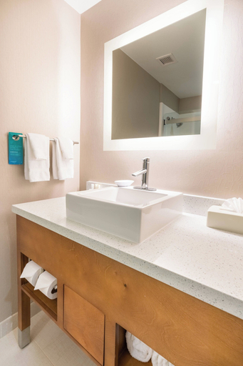 Bathroom 4, SpringHill Suites by Marriott Denton, Denton