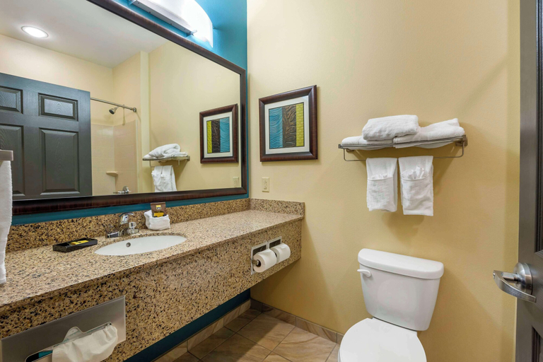 Bathroom 4, Best Western Plus Patterson Park Inn, Cowley