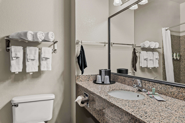 Bathroom 4, Best Western Sherwood Inn & Suites, Pulaski