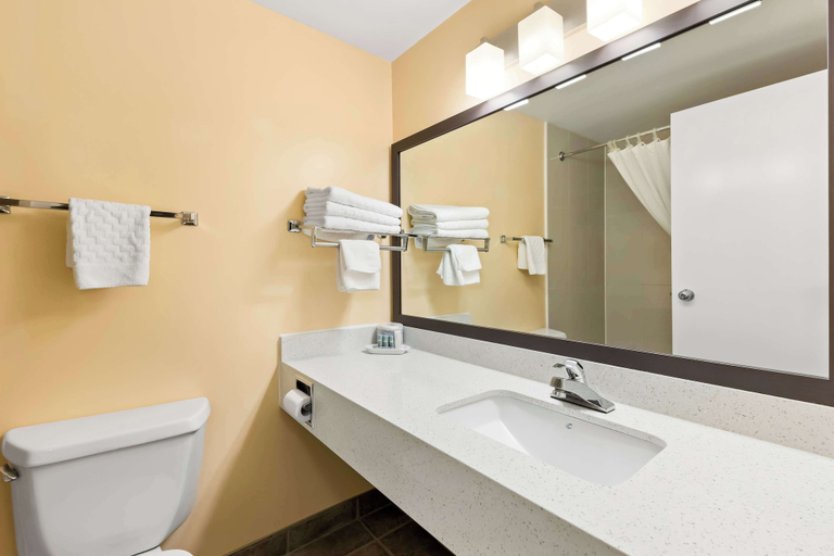 Bathroom 4, Best Western Of Olds, Division No. 6