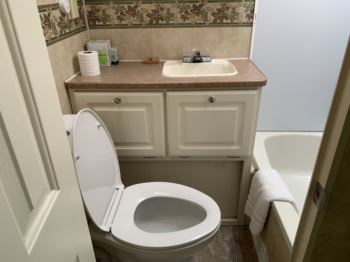 Bathroom 3, Great Sand Dunes Lodge, Alamosa