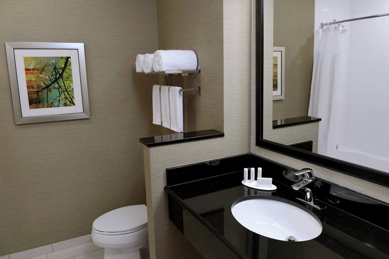 Bathroom 5, Fairfield Inn & Suites by Marriott Omaha West, Douglas