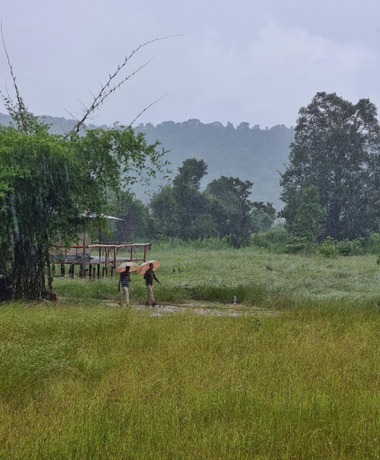 Others 5, The Untamed Wilderness Camp, Bandhavgarh by TUTC, Umaria