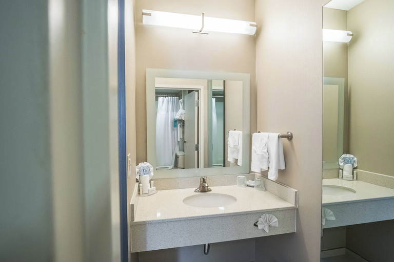 Bathroom 4, Springhill Suites by Marriott Winston-Salem Hanes Mall, Forsyth