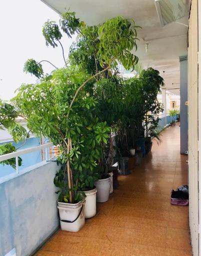 Others 3, Green & Art Homestay, Nha Trang