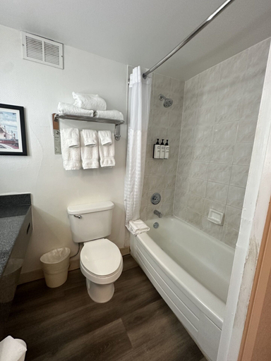 Bathroom 5, Wyndham Garden Norfolk Downtown, Norfolk
