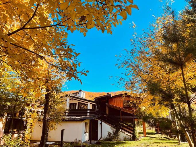 Others 5, Alpinlife, Recea