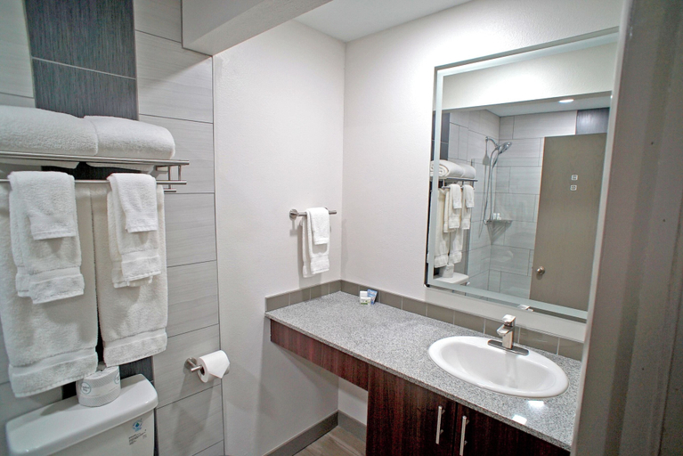 Bathroom 4, Baymont | Monte Vista, Rio Grande