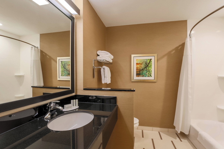 Bathroom 4, Fairfield Inn & Suites Cuero, Dewitt