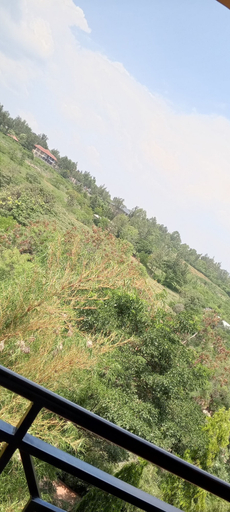 Scenery