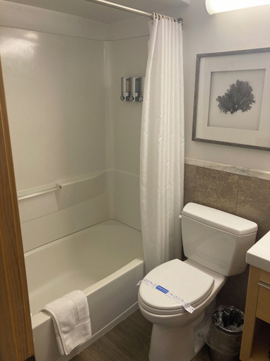 Bathroom 4, Firelite Lodge, Placer