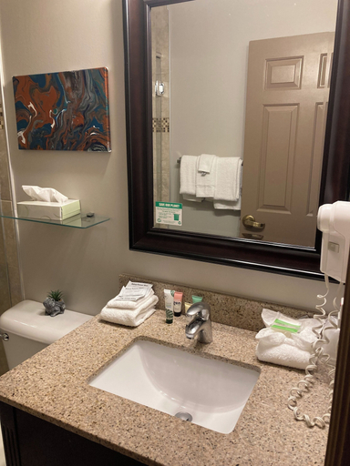 Bathroom 4, Ashley Quarters Hotel Cincinnati Airport, Boone
