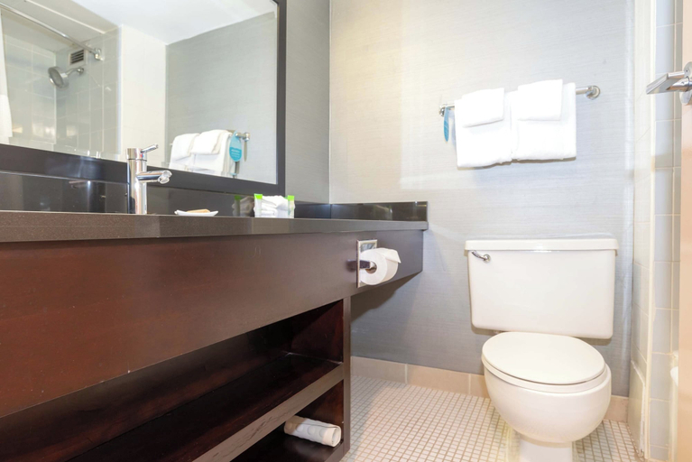 Bathroom 5, Sandman Hotel Lethbridge, Division No. 2