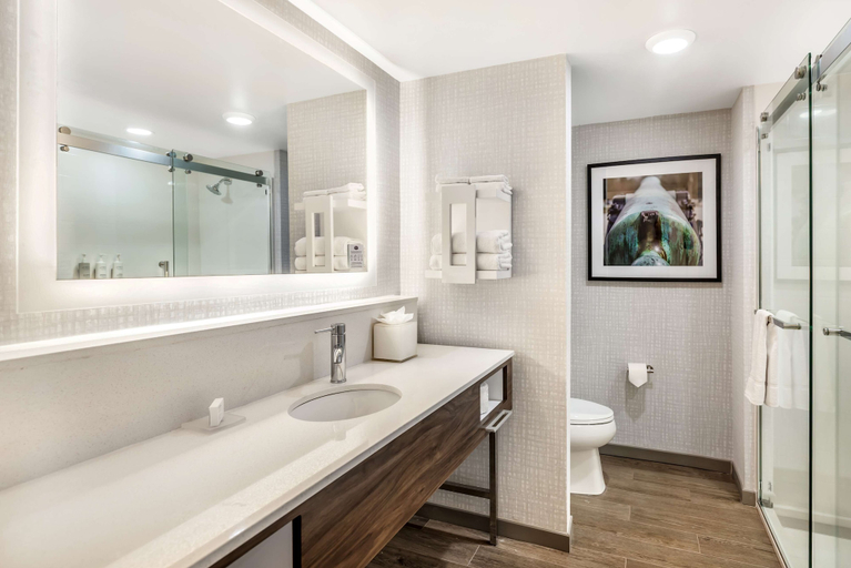 Bathroom 5, Hampton Inn by Hilton Petersburg Fort Lee, Prince George