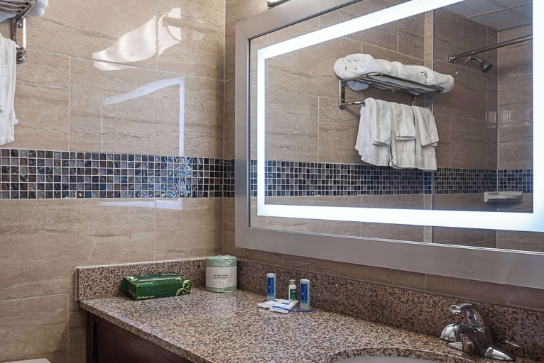 Bathroom 4, Rodeway Inn Meadowlands, Secaucus
