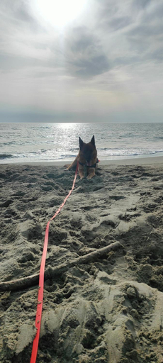 Exterior & Views 5, La Dimora Dei Tramonti Affittacamere Torcigliano, Lucca