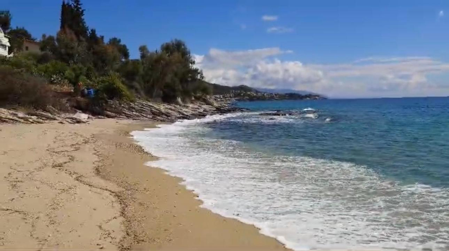 Others 3, Olivia -Ελια, East Macedonia and Thrace